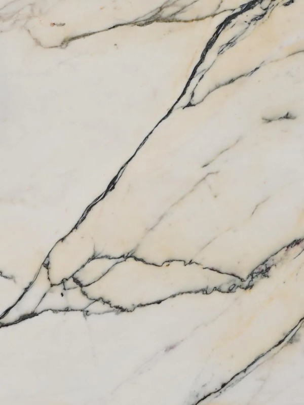 Italy White Marble Paonazzo Marble